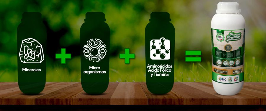 producto-composicion-4 producto-composicion-4